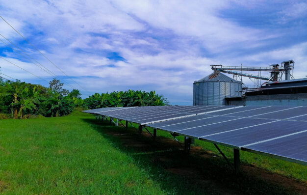 Panel solar en agroindustria